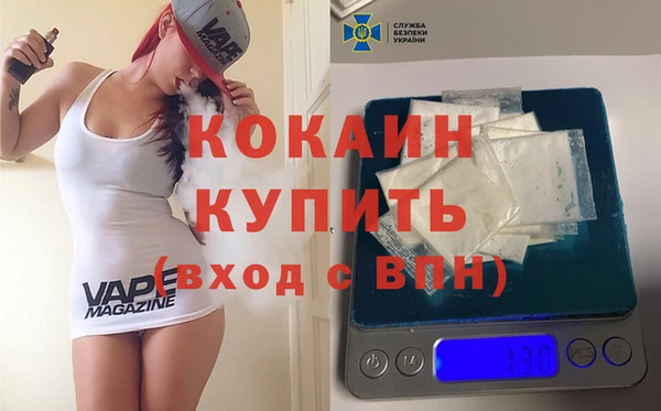 индика Балахна