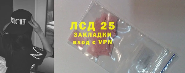 индика Балахна