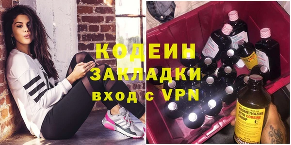 индика Балахна