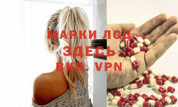 индика Балахна