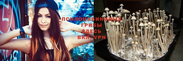ПСИЛОЦИБИНОВЫЕ ГРИБЫ Балабаново