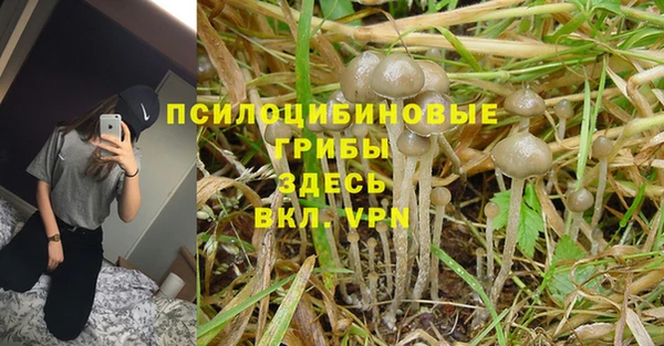 индика Балахна