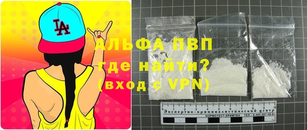 индика Балахна