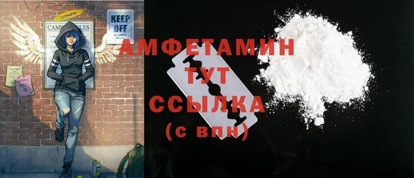 индика Балахна