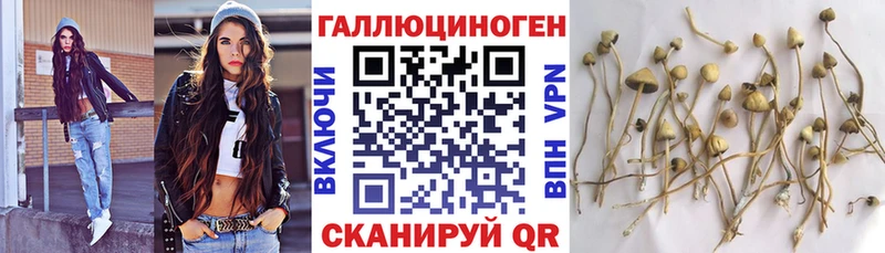 Купить  Лабытнанги  Псилоцибиновые грибы ЛСД 